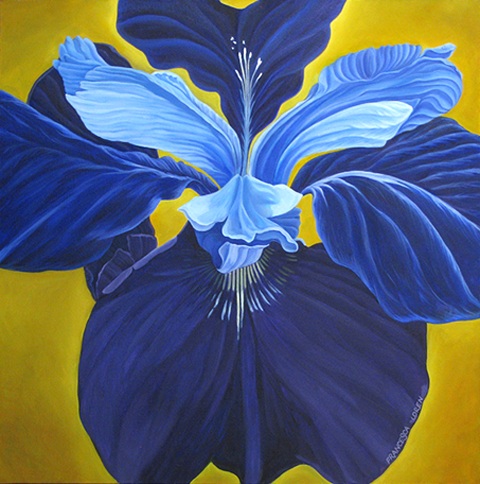 Winged Iris Oil on Canvas 30" x 30"